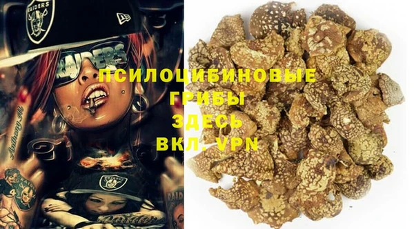 не бодяженный Аркадак