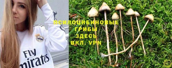 герыч Арсеньев