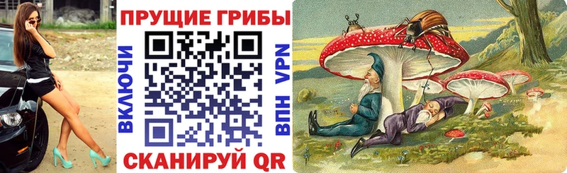 Галлюциногенные грибы Psilocybe  Горячий Ключ 